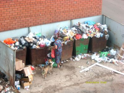 Заявление на неправильное расположение мусорного бака в частном секторе