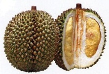 durian_03F00