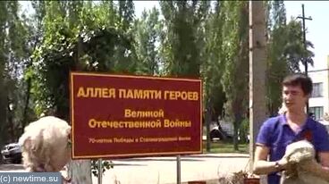 Специалисты   ГКУ СО «Михайловский центр социальной помощи семье и детям» с  жителями города заложил