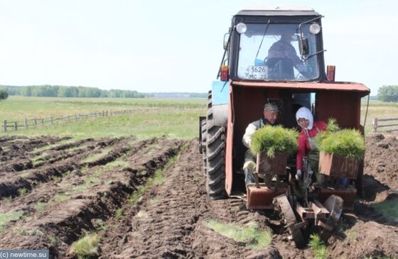 Восстанавливая утраченное